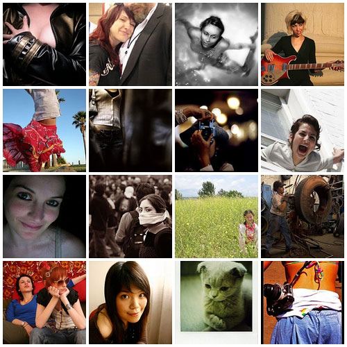 flickr favs