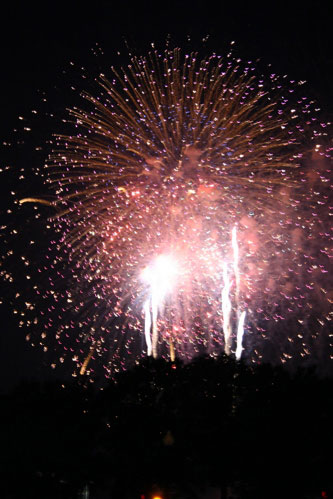 Fireworks in Washington DC