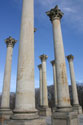 Capital Columns at National Arboretum