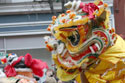 Chinese New Years Parade