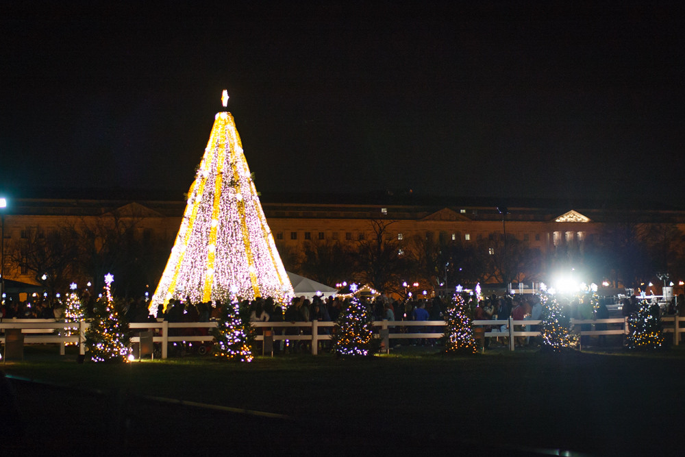 Washington, D.C. Christmas Trees (6 of 6)