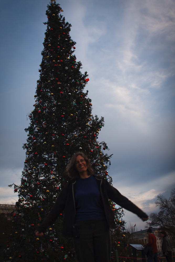Washington, D.C. Christmas Trees (1 of 6)