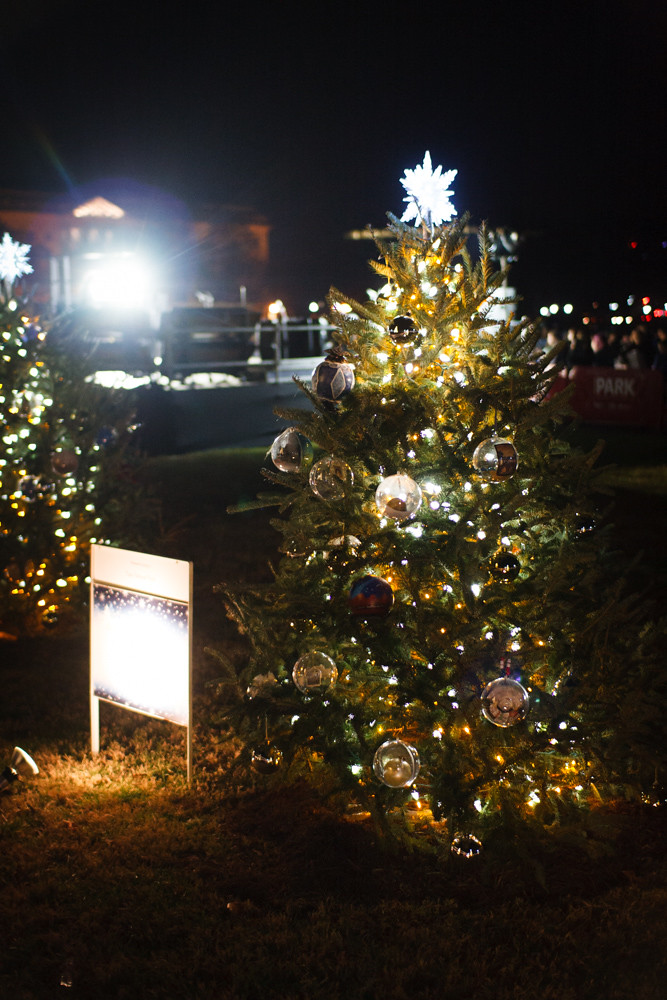 Washington, D.C. Christmas Trees (4 of 6)