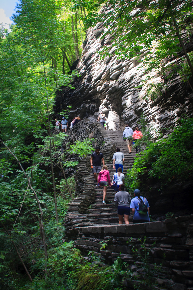 Watkins Glen