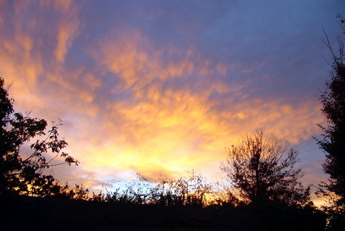 DSC09173.JPG