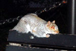 DSC09175.JPG